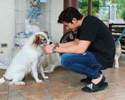The actor is an animal lover and loves to spend time with them in his home.